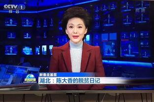 远安新闻联播视频回放,聚焦本土发展，展现时代风采